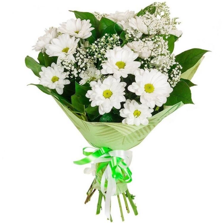 Волшебный день от 2 810 руб.